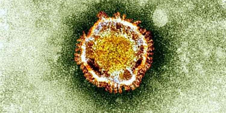 CONFIRMAN PRIMER CASO DE CORONAVIRUS DE CHINA EN ESTADOS UNIDOS