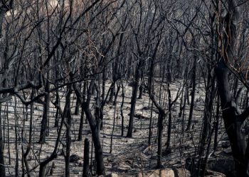 AUSTRALIA, EN NUEVO RIESGO DE CALOR Y FUEGO