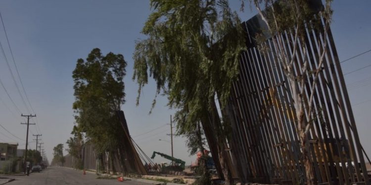 CAE MURO FRONTERIZO POR FUERTES VIENTOS EN MEXICALI