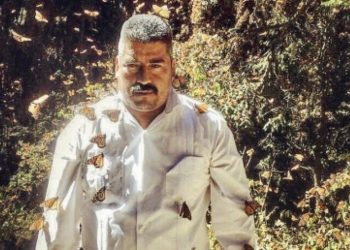 DOLOROSO, EL ASESINATO DE ACTIVISTA PROTECTOR DE MARIPOSA MONARCA: LÓPEZ OBRADOR