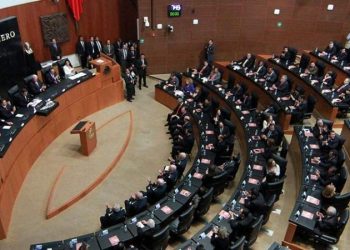 EL SENADO DESTACA LOGROS LEGISLATIVOS DEL 2019