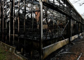 INCENDIO EN ZOOLÓGICO ALEMÁN MATA A 30 ANIMALES