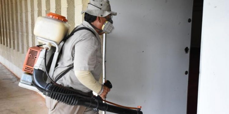 MANTENDRÁ SSY PASO FIRME EN COMBATE AL DENGUE EN YUCATÁN