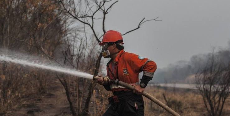 MILES DE BOMBEROS VOLUNTARIOS SE SUMAN AL COMBATE CONTRA INCENDIOS
