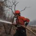 MILES DE BOMBEROS VOLUNTARIOS SE SUMAN AL COMBATE CONTRA INCENDIOS