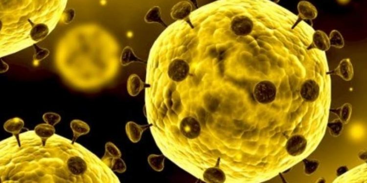 TAMAULIPAS ACTIVA PROTOCOLO POR CASO SOSPECHOSO DE CORONAVIRUS