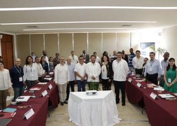 APUESTA YUCATÁN POR LA INDUSTRIA DEL COCO