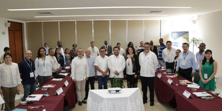 APUESTA YUCATÁN POR LA INDUSTRIA DEL COCO