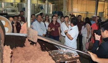 BUSCARÁ SEDEC MECANISMOS PARA REACTIVAR INDUSTRIALIZADORA DE CACAO DE TABASCO