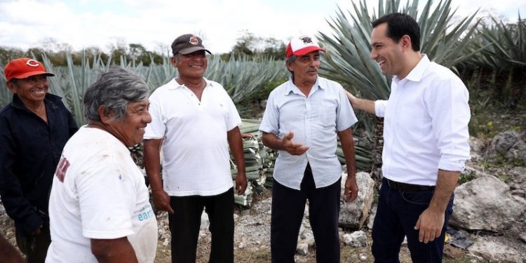 EL GOBIERNO DE MAURICIO VILA DOSAL ESCUCHA E IMPULSA A LOS PRODUCTORES HENEQUENEROS