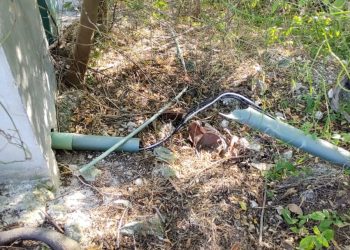 REAPERTURA DE TAJAMAR LE DA VIDA AL LUGAR Y EVIDENCIA DETERIORO POR «ENCIERRO» DE CUATRO AÑOS