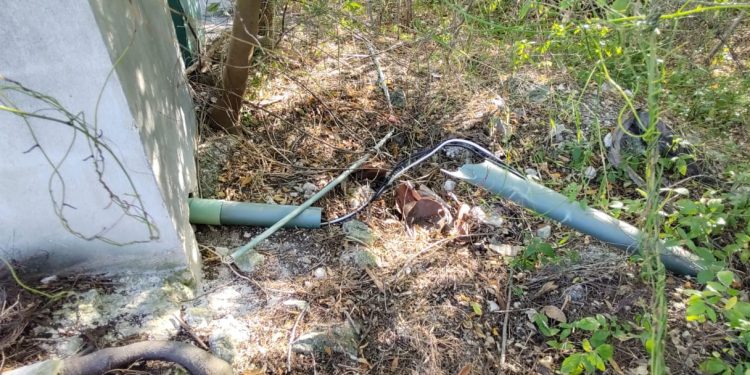 REAPERTURA DE TAJAMAR LE DA VIDA AL LUGAR Y EVIDENCIA DETERIORO POR «ENCIERRO» DE CUATRO AÑOS