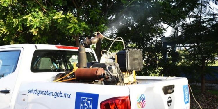 MANTIENE SSY ACCIONES PERMANENTES CONTRA EL DENGUE