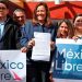 INE AVALA ORGANIZACIÓN DE CALDERÓN Y MARGARITA ZAVALA, MÉXICO LIBRE
