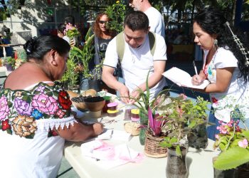 REACTIVARÁN INVERNADEROS DE LA ZONA MAYA