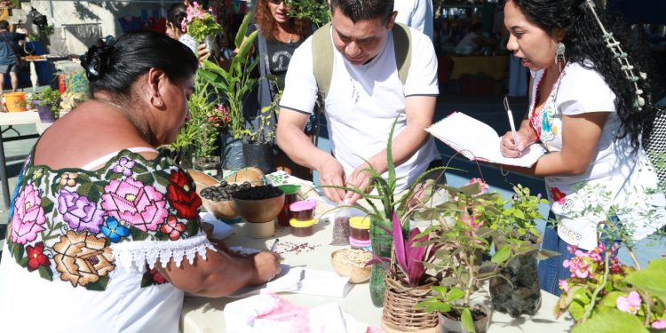 REACTIVARÁN INVERNADEROS DE LA ZONA MAYA