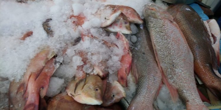 PESCADORES SE QUEJAN DE VENDEDORES PIRATA.