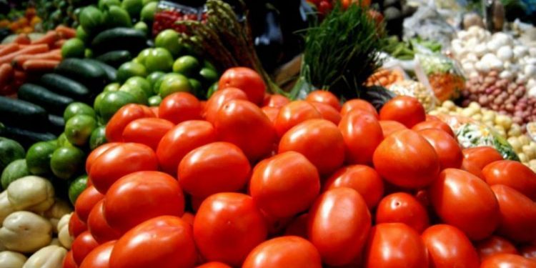 SE DISPARA PRECIO DE JITOMATE EN LA ZONA MAYA