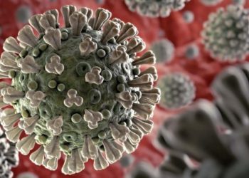 PRIMERA VÍCTIMA POR CORONAVIRUS EN Q. ROO