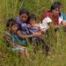 ATAQUE DE GRUPOS ARMADOS DESPLAZA A INDÍGENAS DE CHIAPAS