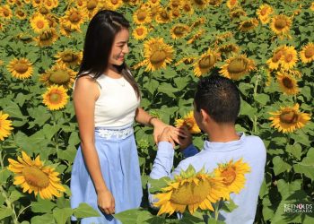 MALAS NOTICIAS PARA BALANCÁN, TABASCO; POR EL CORONAVIRUS NO ABRIRÁ EL SANTUARIO DE LOS GIRASOLES