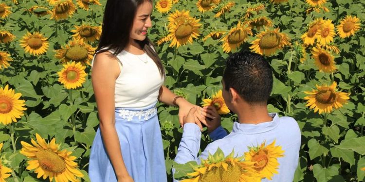 MALAS NOTICIAS PARA BALANCÁN, TABASCO; POR EL CORONAVIRUS NO ABRIRÁ EL SANTUARIO DE LOS GIRASOLES