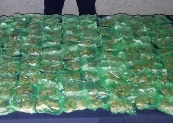 CAE PRESUNTA CÉLULA DE CJNG EN CANCÚN