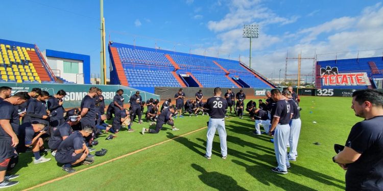 LOS TIGRES YA RUGEN EN EL «BETO ÁVILA»