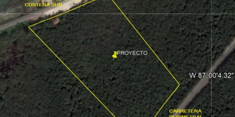 ACUSAN A EMPRESARIO DE PRESUNTAMENTE DESTRUIR ZONA DE MANGLE EN COZUMEL