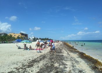 DECLARAN DESIERTA LICITACIÓN PARA BARRERAS CONTENEDORAS DE SARGAZO EN PLAYA DEL CARMEN