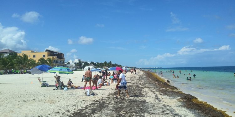 DECLARAN DESIERTA LICITACIÓN PARA BARRERAS CONTENEDORAS DE SARGAZO EN PLAYA DEL CARMEN