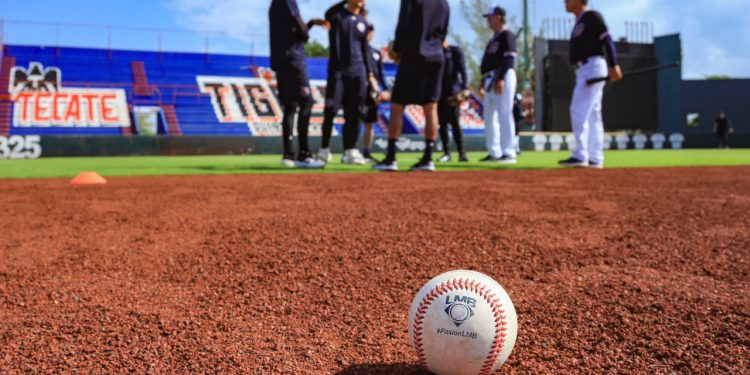 REPORTA EL DOMINICANO RUBÉN SOSA CON LOS TIGRES DE QUINTANA ROO