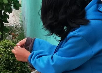 OPERA EN COZUMEL PRESUNTA RED DE TRATANTE DE BLANCAS