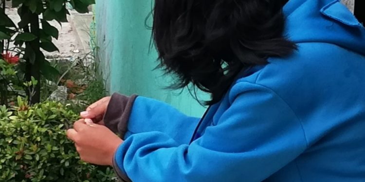 OPERA EN COZUMEL PRESUNTA RED DE TRATANTE DE BLANCAS