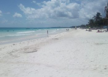 SE DESPLOMAN LOS SERVICIOS NÁUTICOS EN TULUM