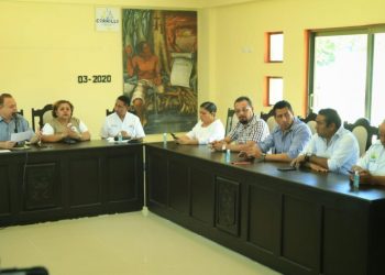 VACUNARÁN DE CASA EN CASA EN LA ZONA MAYA