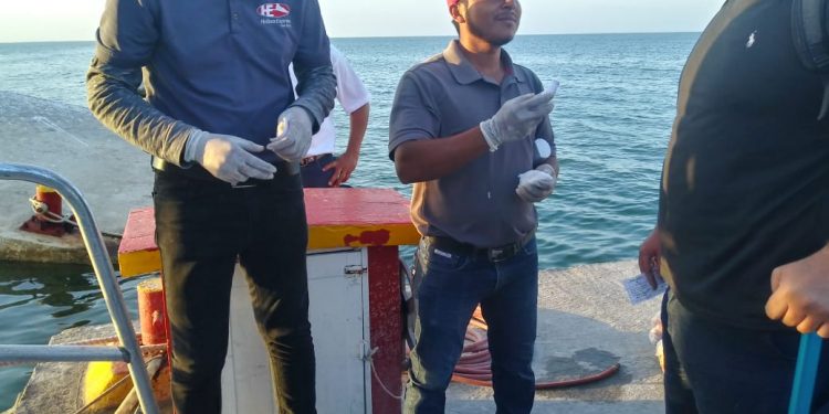 PONEN A FUNCIONAR FILTROS SANITARIOS EN HOLBOX Y LIMPIAN LA ISLA