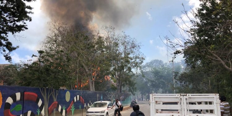 MEGA INCENDIO CONSUME AL MENOS SIETE PALAPAS EN LA COLONIA MAYA