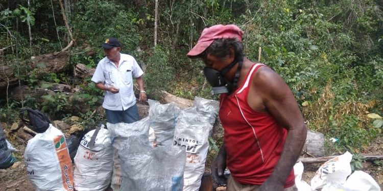 COMIENZA LA PRODUCCIÓN DE CARBÓN VEGETAL EN LA ZONA MAYA