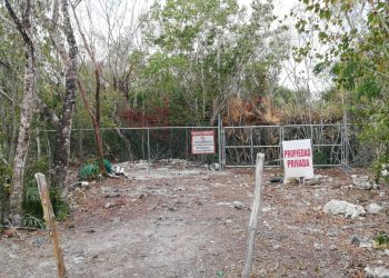 CORRUPCIÓN E IMPUNIDAD ACABAN CON ECOLOGÍA EN COZUMEL