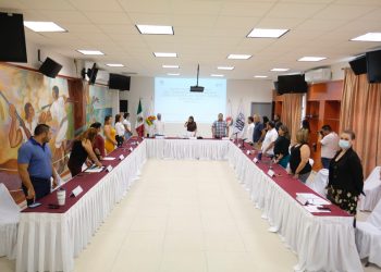 AVALA REGIDORA LORENA MARTÍNEZ IMPLEMENTACIÓN DE SUBSIDIOS Y ESTÍMULOS FISCALES EN CANCÚN