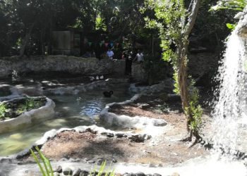 ANIMALES DEL ZOOLÓGICO DE CHETUMAL EN RIESGO DE MORIR DE INANICIÓN POR FALTA DE ALIMENTO