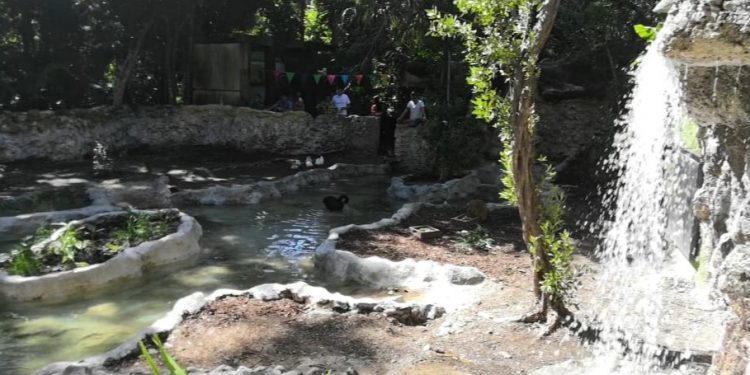 ANIMALES DEL ZOOLÓGICO DE CHETUMAL EN RIESGO DE MORIR DE INANICIÓN POR FALTA DE ALIMENTO