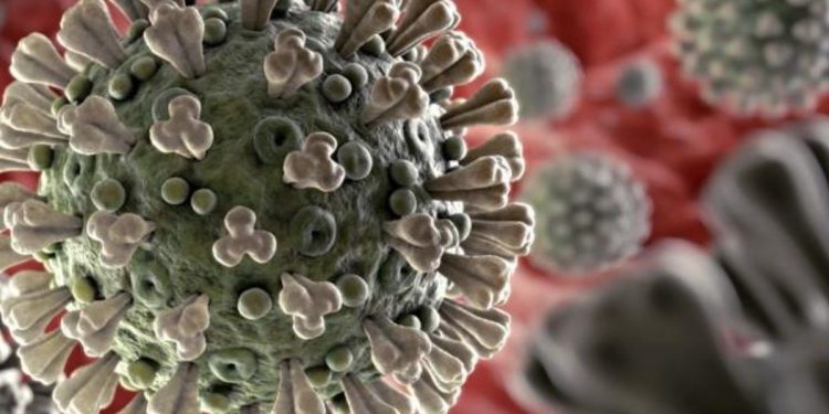 FALLECE PERSONA CON POSIBLE CUADRO DE COVID-19, EN COZUMEL