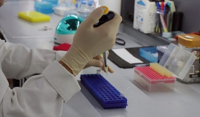 NO HABRÁ VACUNA PARA CORONAVIRUS ANTES DE 12 A 18 MESES: FARMACÉUTICAS