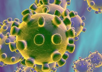 PATENTE MEXICANA PODRÍA DETENER LA PROPAGACIÓN DEL CORONAVIRUS