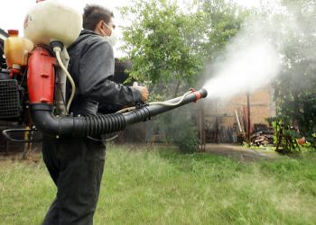 PREVIENEN BRIGADAS DE SALUD EL DENGUE EN COLONIAS DE CENTRO
