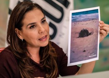 NO ESTÁS SOLO Y VAMOS A SALIR ADELANTE JUNTOS: MARA