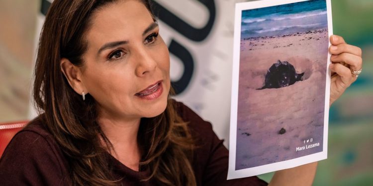 NO ESTÁS SOLO Y VAMOS A SALIR ADELANTE JUNTOS: MARA