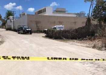 DESCUBREN PERROS RESTOS HUMANOS EN CANCÚN